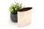 Plain Silver Jug with Circular Frame For Sale - Image 5 of 7