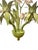A stunning, vintage, Italian tole chandelier. Features a hand painted tole chandelier adorned with green leaves, and...