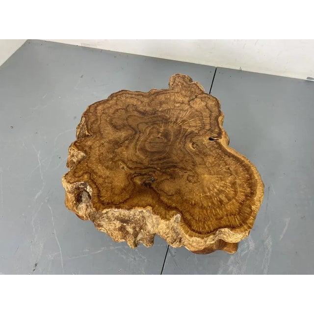 Rustic Rustic Wabi Sabi Walnut Tree Trunk Side Table, 1960s For Sale - Image 3 of 8