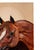 Mid 20th Century Hand-Painted Equestrian Horse Portrait on Board, Signed B. My, Mid-Century For Sale - Image 5 of 8