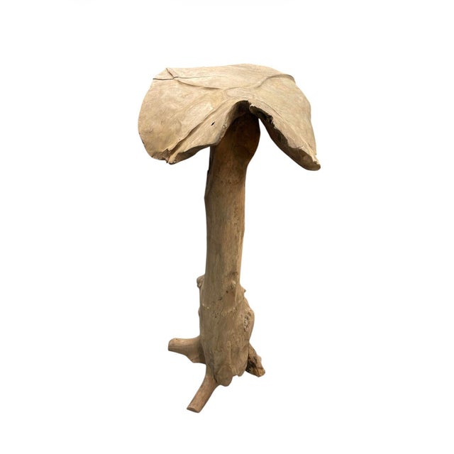 2000 - 2009 Artisanal Hand-Carved Teak Root Mushroom Sculpture For Sale - Image 5 of 12