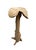 2000 - 2009 Artisanal Hand-Carved Teak Root Mushroom Sculpture For Sale - Image 5 of 12