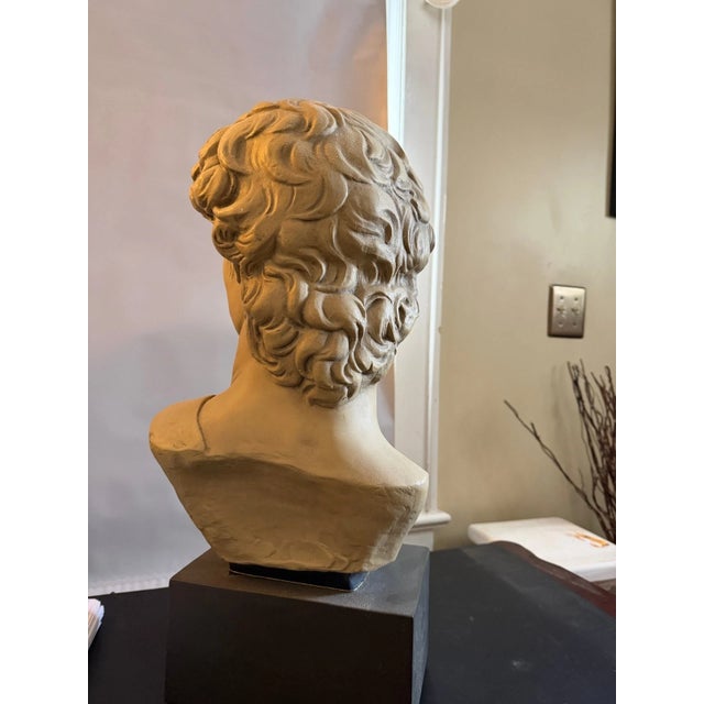 Late 20th Century Large Michelangelo David Bust Sculpture by House Parts Inc. Atlanta With Original Tag For Sale - Image 4 of 10