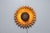 This ceramic sunflower wall lamp crafted by Berth Ferdinand Norrman is an exquisite example of both functional art and...