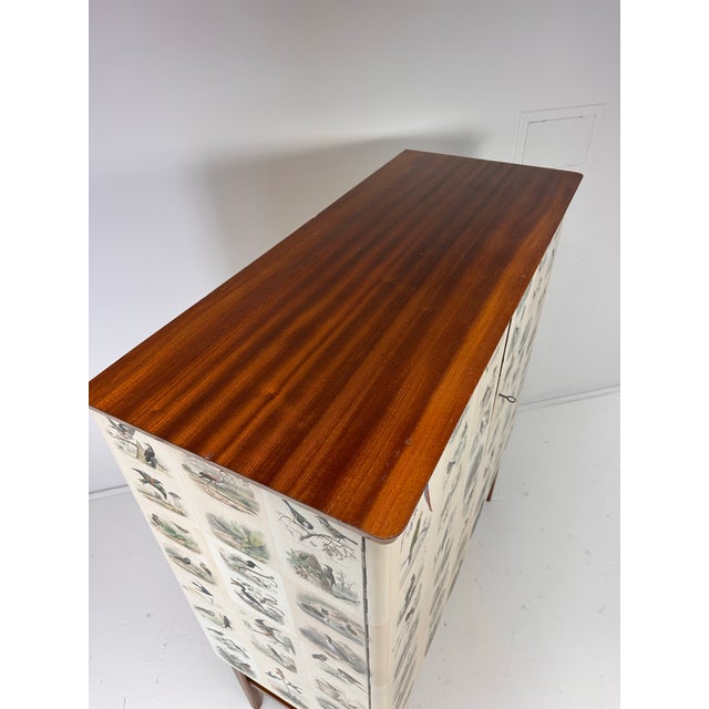 Wood 1950's Swedish Cabinet With Bird Illustrations by Édouard Traviés For Sale - Image 7 of 10