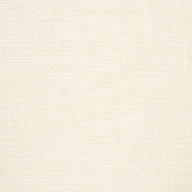 Contemporary SAMPLE - Schumacher Lily Indoor/Outdoor Fabric In Ivory For Sale - Image 3 of 3