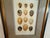 Brown Ethan Allen Eggs of British Birds I For Sale - Image 8 of 13