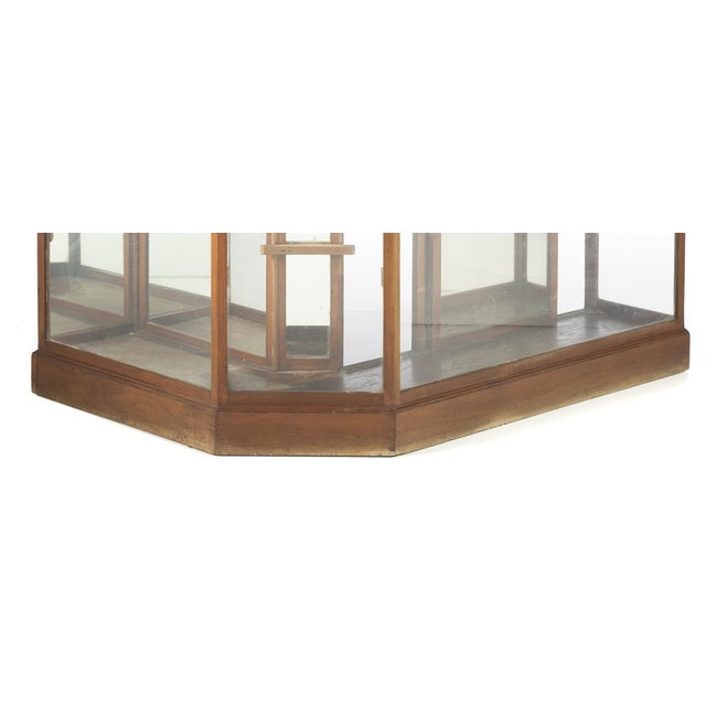 Counter Display Case, 19th Century For Sale - Image 6 of 8