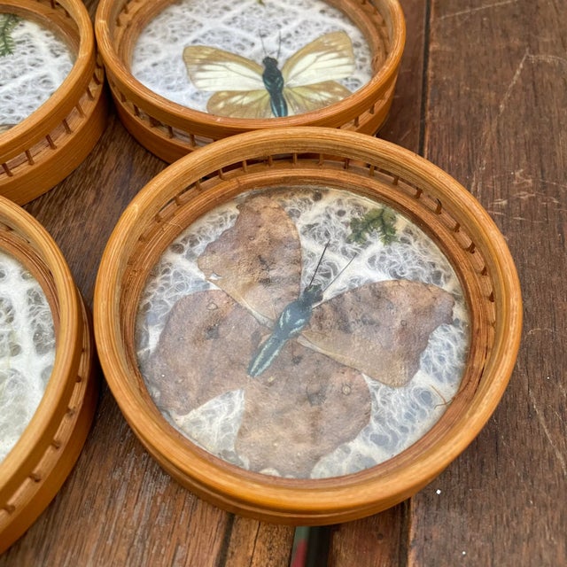 1970s Vintage Rattan and Faux Butterfly Coasters- Set of 6 For Sale - Image 5 of 6