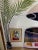 Postmodern Fanch (Francois Ledan) "Oval Lounge" Serigraph, Signed & Numbered For Sale In New York - Image 6 of 13