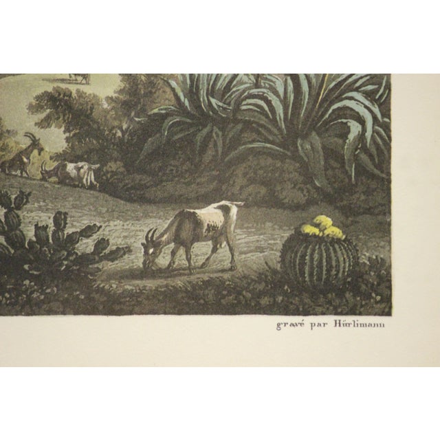 Vue De Gracebay Dans I'Isle d'Antigoa Aux Indes Occidentals. [Antigua]. For Sale In New York - Image 6 of 7