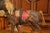 19th Century French Leather Papier Mache and Horse Hair Painted Sculpture For Sale - Image 4 of 10