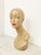 Vintage Female Mannequin Bust, 1960 For Sale - Image 6 of 9