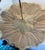 Antique Gaspar of Paris Umbrella For Sale In Dallas - Image 6 of 12