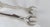 Classic 1840s American Eagle Claw Motif Coin Silver Ice Tongs by Akerly & Briggs in New York City For Sale - Image 10 of 13