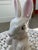 Mid 20th Century Mid-Century White Ceramic Rabbit Figurine For Sale - Image 5 of 10