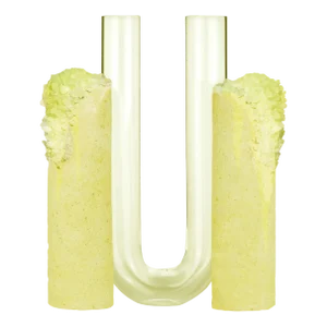 Summer Cochlea Dello Sviluppo Seasons Edition Vase by Coki Barbieri