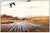Realism Late 20th Century Canada Bound, Jim Killen For Sale - Image 3 of 4