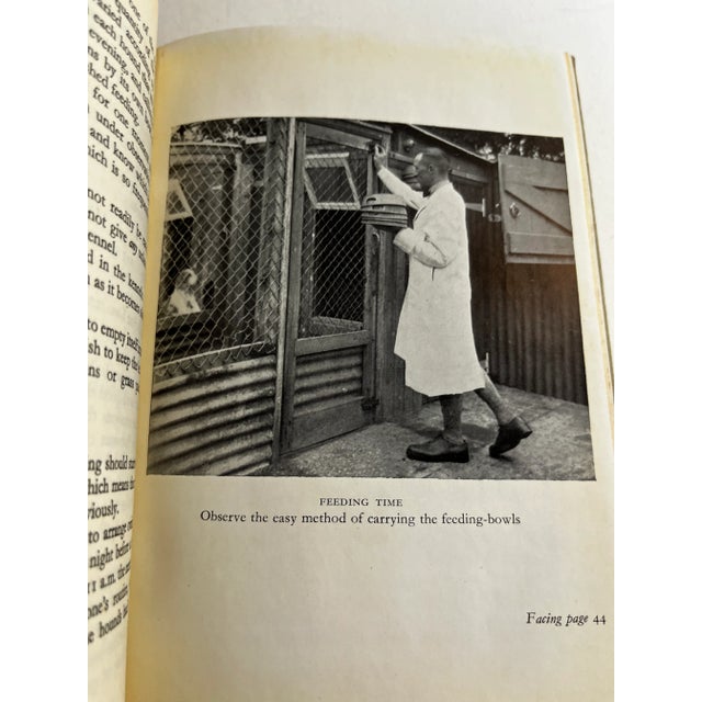 1946 Beagle and Terrier Dogs Book For Sale - Image 9 of 10