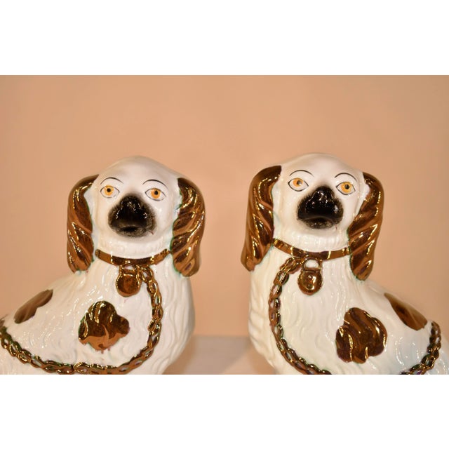 Pair of 19th century Staffordshire spaniel figures with separated front feet. This pair of dogs has wonderful hand painted...