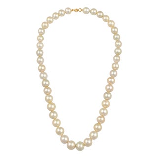Graduating Cream Color South Sea Pearls Necklace 14 Karat Yellow Gold Clasp For Sale