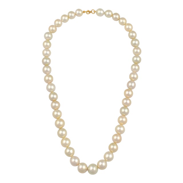 Graduating Cream Color South Sea Pearls Necklace 14 Karat Yellow Gold Clasp For Sale
