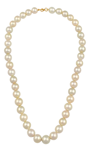 Graduating Cream Color South Sea Pearls Necklace 14 Karat Yellow Gold Clasp