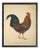 Country Print of Red Jungle Fowl Rooster - 20x26 For Sale