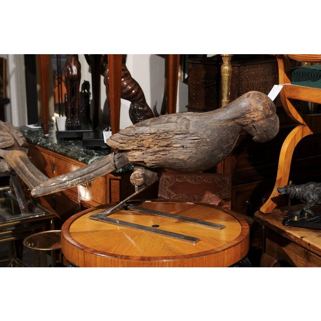 Pair of Italian Carved Wooden Parrots circa 1880, Mounted on Modern Steel Bases For Sale - Image 4 of 11