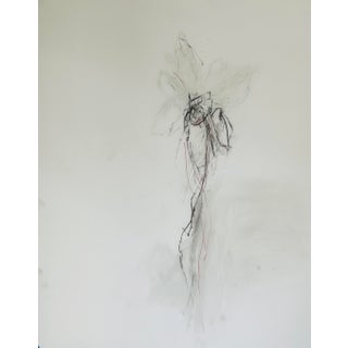 Original Still Life Flower Drawing #1 on Mylar by Lisa Lightman For Sale
