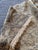 Scalamandre Designer Beige, Gray Imported Embossed Upholstery Boucle- 3 Yards For Sale In Atlanta - Image 6 of 6