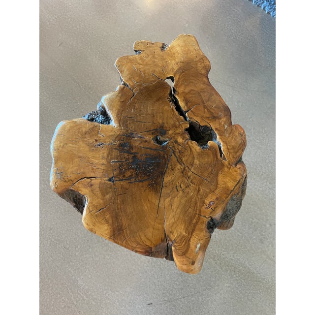 1960s Mid Century Cypress Root Side Table Live Edge Burl Tripod Stool George Nakashima Style Sculptural Organic Studio Craft For Sale - Image 9 of 11