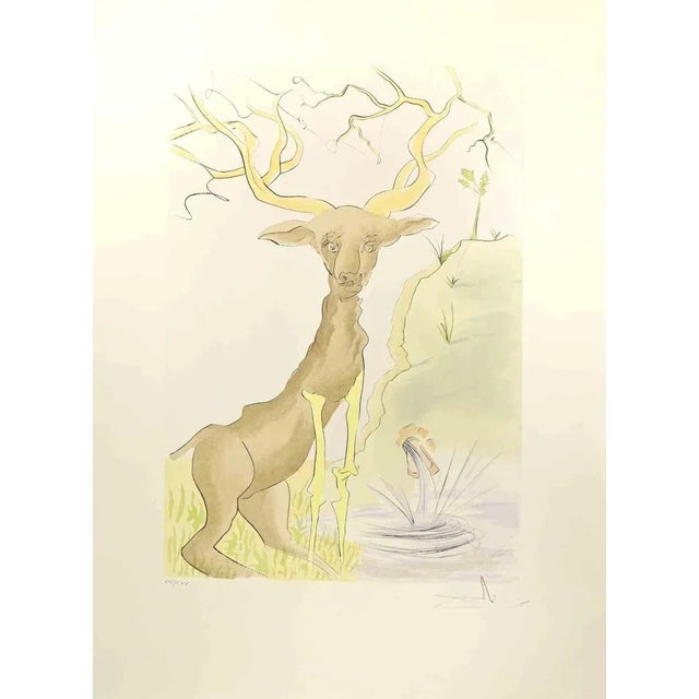 Salvador Dali, The Stag Reflected in the Water, Etching, 1974 For Sale - Image 4 of 4