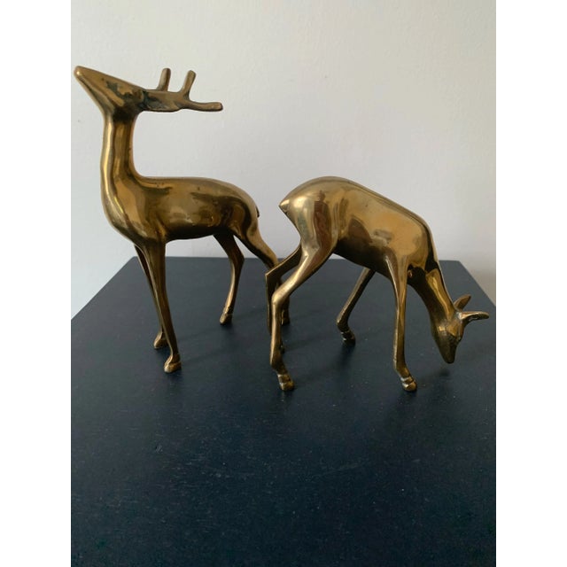 Mid 20th Century Vintage Brass Pair of Deer For Sale - Image 4 of 10