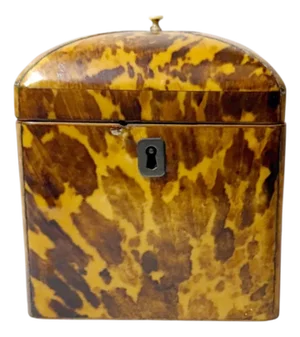 Mid 19th Century Regency Faux Tortoiseshell Box With Sterling Silver Details