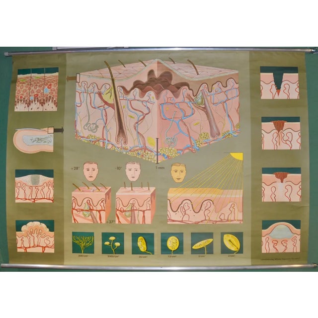 German School Print in Leather Edition, 1981 For Sale - Image 9 of 9