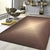2020s Pasargad Home Rodeo Brown Area Rug- 7' 9" X 9' 9" For Sale - Image 5 of 5