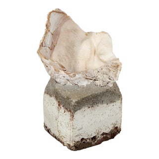 1999 Cement and Seashell Sculpture by Hugh Wiley For Sale