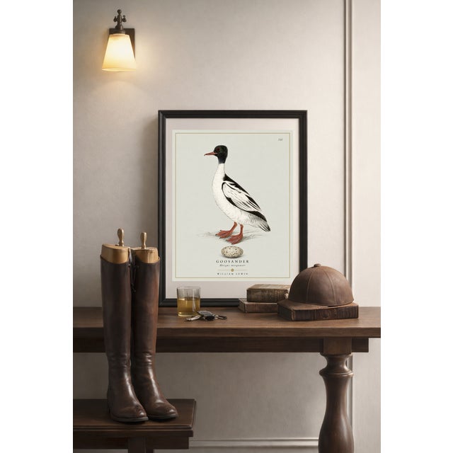 William Lewin 1789 Waterbirds Fine Art Gallery Board Print - The Goosander For Sale - Image 4 of 11