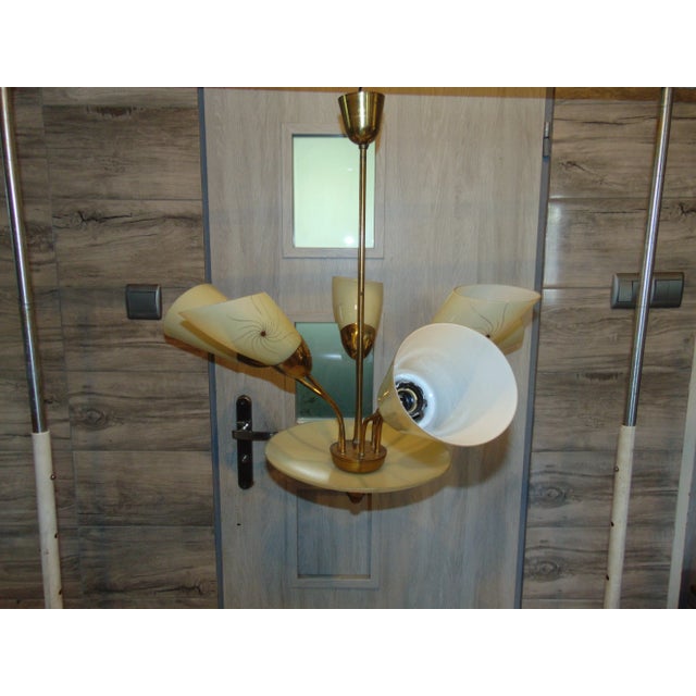 - 5-branch chandelier - From the 1960s - Fittings for E27 light bulbs European Plug (up to 250V).The wiring of this item...