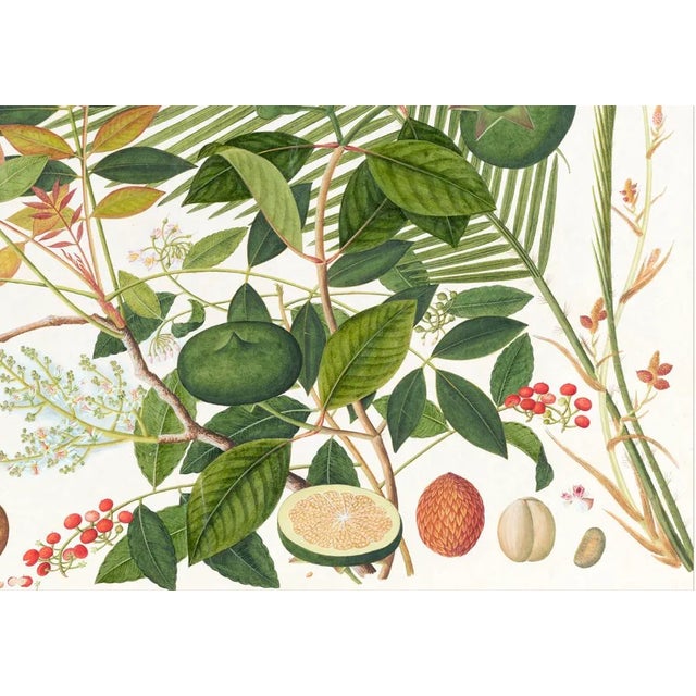 Tropical botanical illustrations, beautifully reproduced as giclée prints using archival inks on imported English cotton...