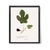 Wine Antique Botanical Set in Oxblood - Set of 8 16" X 20" For Sale - Image 8 of 15
