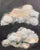 Title "Clouds" – Original Oil Painting by Danka Krol Cloud is an expressive oil painting depicting two dramatic, richly...