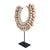 Cone Shell Necklace on Stand, Papua New Guinea, Contemporary For Sale - Image 9 of 16