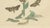 Humphreys & Westwood, British Moths and Caterpillars on Mullein, 1845, Color Lithograph For Sale - Image 6 of 9
