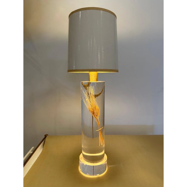 Mid-Century Modern French Floating Wheat Stalk in Acrylic Cylinder Table Lamp For Sale - Image 3 of 11