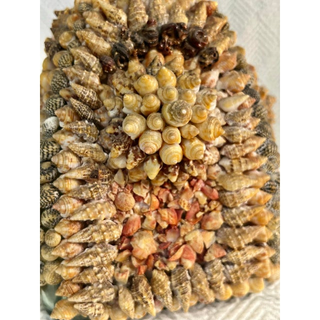 Glass “Vintage Mid-Century Shell-Encrusted Decanter or Memory Bottle – Folk Art Coastal Grotto Shellwork.” For Sale - Image 7 of 12