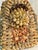 Glass Vintage Mid-Century Shell-Encrusted Decanter or Sailors Valentine Memory Bottle – Folk Art Coastal Grotto Shellwork. For Sale - Image 7 of 12