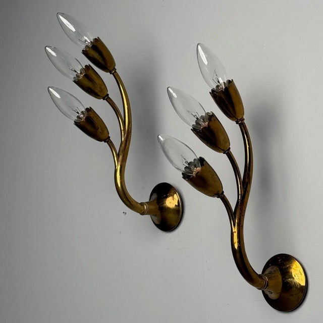 Gio Ponti Attr., Italian Mid-Century Modern, Wall Sconces, Brass, Flower Shape For Sale - Image 4 of 11