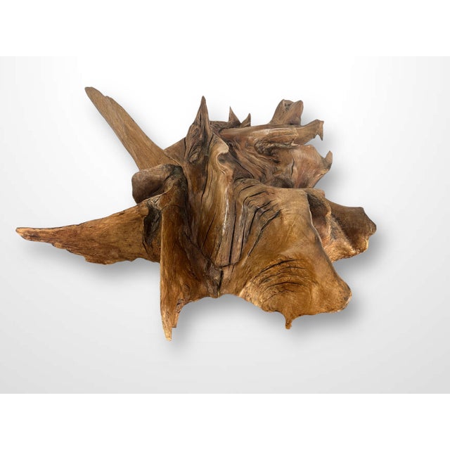 Large Natural Abstract Sculpture, 20th Century, Root Wood For Sale - Image 4 of 17